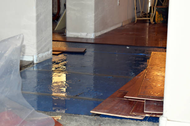 Professional Water Damage Restoration technician working in Fountain, MI
